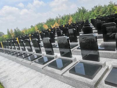 施孝园立碑
