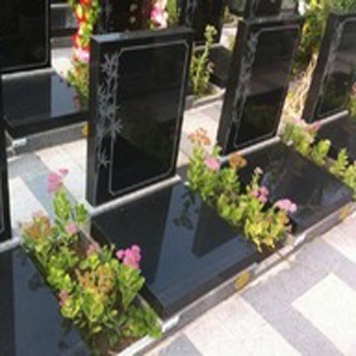 皇家龙山陵园立碑