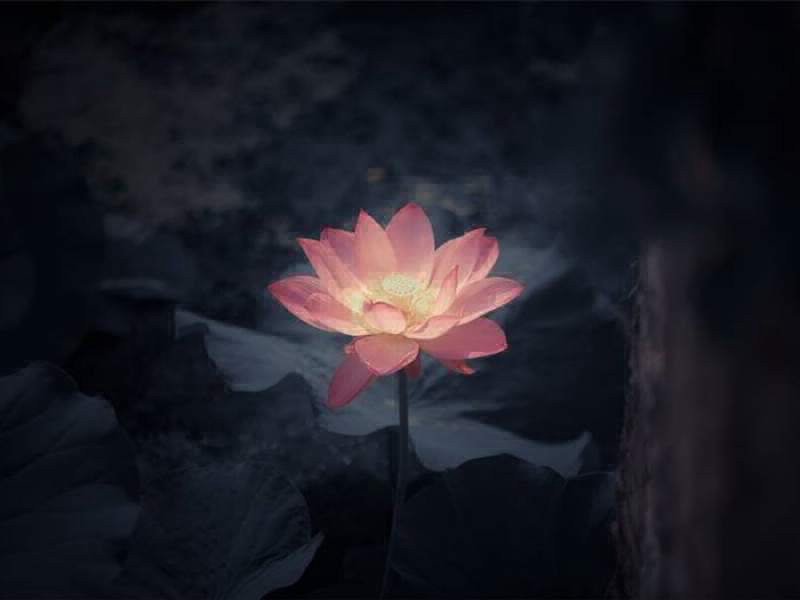 如何挑选墓地—用心考量，为逝者营造温馨家园